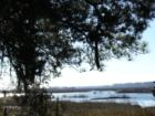 View of Battery Creek