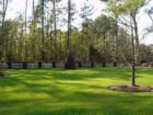 Bull Point Greenery