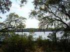 River view along Bull Point