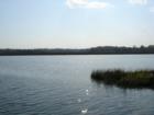 River view from Bull Point