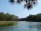 River along Bull Point