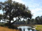 Pleasant Point view