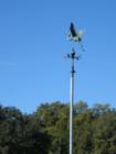 Weather Vane at Pleasant Point