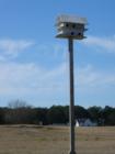 Bird House