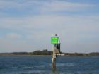 Channel Marker along the ICW