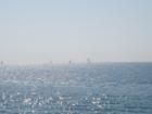 Sailboats out in the Gulf