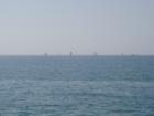 Sailboats in the Gulf