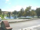 Our famous Duck Pond!