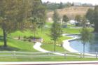 Another view of the duck pond!
