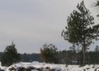 Middleton NH winter