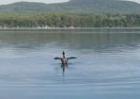 Great East Lake Wakefield NH