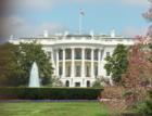 The White House