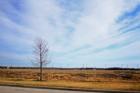 Empty land - to build Offices and Shops at the Cascades, the Colony
