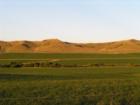 Summer irrigation
      Photo by John Chase