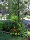 2007 Garden, Warwick Road