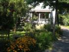Late summer garden, Warwick Road