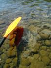 Paddling the Upper Delaware near Damascus, PA July 2007