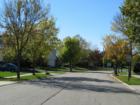Tree lined Lake Zurich neighborhood streets