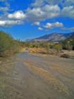 Streams in the Desert
