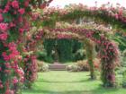 The Elizabeth Park Rose Gardens