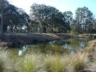 Open Space Pond