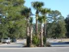 Streetscape view from the Pavilion