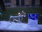 Hamilton Icefest 2008 Sculpture 
      