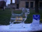 Hamilton Icefest 2008 Sculpture 
      