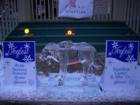 Hamilton Icefest 2008 Sculpture 
      