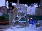 Hamilton Icefest 2008 Sculpture 
      