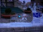 Hamilton Icefest 2008 Sculpture 
      