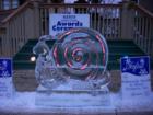 Hamilton Icefest 2008 Sculpture 
      