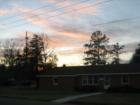 Loris Sky