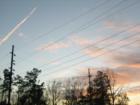 Loris sky