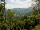 View from Bear Ridge