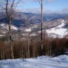 Snowfall winter scene - view from Bear Ridge