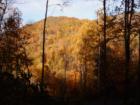 View from Bear Ridge