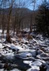 Creekside at Pumpkin Patch Mountain