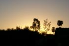 Sunrise off of River Road, just west of Oracle Rd.