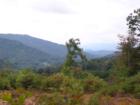 Mountain Views from Fork Mountain area