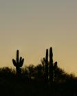 Sunrise over north facing ridge, River/Oracle Rd.