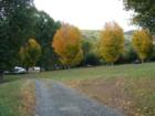 Five Oaks Campground in Glen Ayre