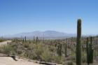 View of Catalina Mountains from Tucson Mountain Park