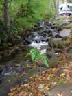 Creekside at Five Oaks Campground