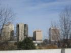 Uptown Charlotte showing signs of growth with multiple new high rises being erected!