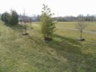 Centre Ridge Park