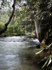 Cain Creek