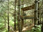 Deer Stand in the woods