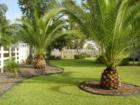 Beautiful Landscape in Battery Shores