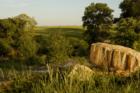 Magestic Country Views - The Bridges at Preston Crossings